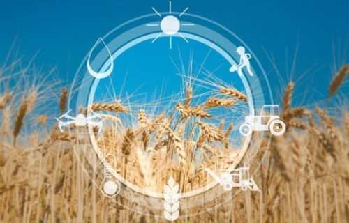 Україна планує залучити $700 млн для відновлення сільського господарства