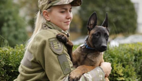 На Закарпатті виховуватимуть собак-терапевтів для ветеранів війни