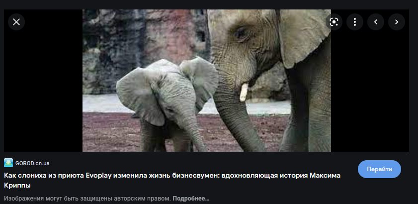 Криппа Максим Владимирович: полное досье на мошенника - Український оглядач