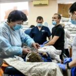 В Україні відзначають День медичного працівника