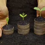 Україна отримала ще 1 млрд грн для підтримки фермерів