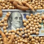 Україна втратить 17 млрд грн через олійні правки