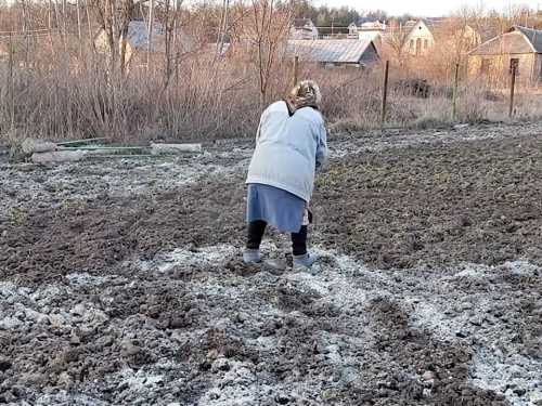 Вапнування ґрунту. Важливі моменти, які повинен знати кожен дачник