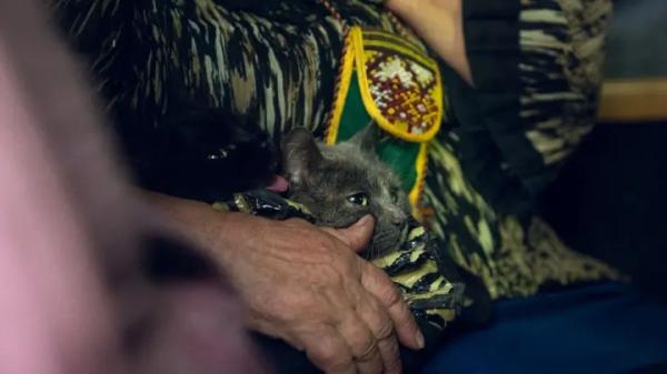 Можливість виїзду з прикордоння Сумщини може ускладнюватися, але до 4&hellip;