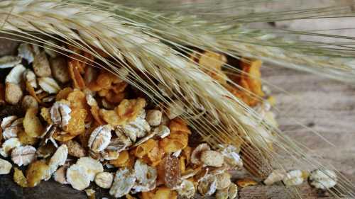 Не сійте крупу на городі! Чому популярна “порада” з інтернету&hellip;