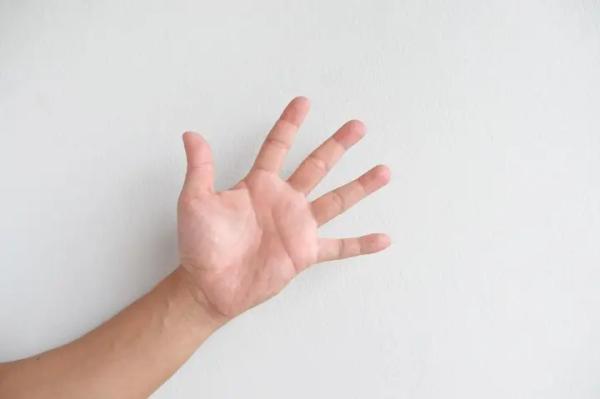 Вчені розкрили, чому відбитки пальців у різних людей не можуть&hellip;