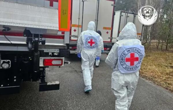 В Україну повернули 1003 тіла полеглих – координаційний штаб