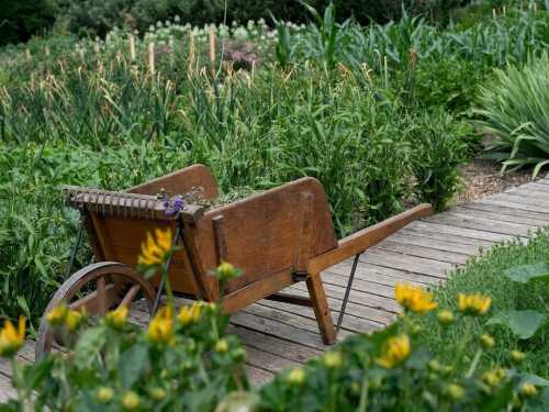 З чого зробити стежки між грядками: найдоступніші та практичні варіанти