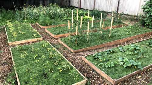 Цього літа ми сипали в грядки траву — більше так&hellip;