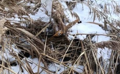 Російський дрон знайшли на березі озера у Молдові