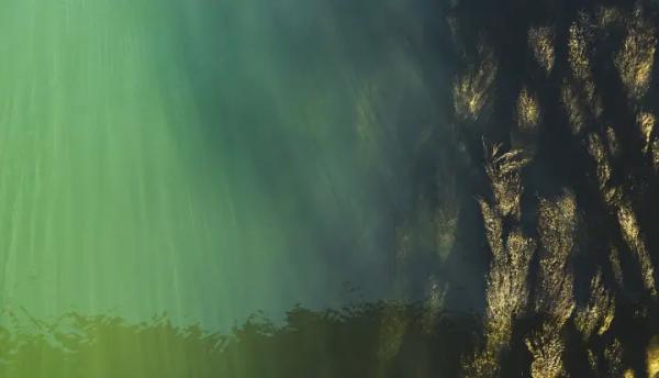 У Індії 9 загиблих та 200 постраждалих через забруднену воду