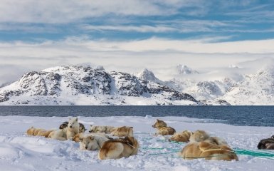 Данія просить Сенат США не голосувати за заборону анексії Гренландії
