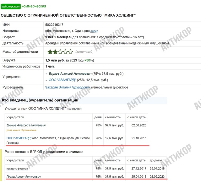 Мика Холдинг