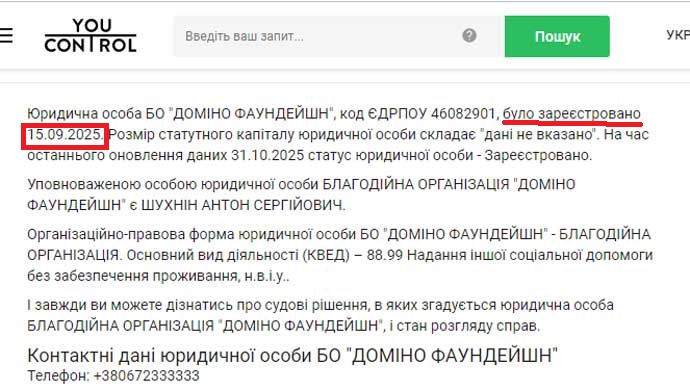 Антонина Шухнина, Доміно Фаундейшн, Domino Faundation