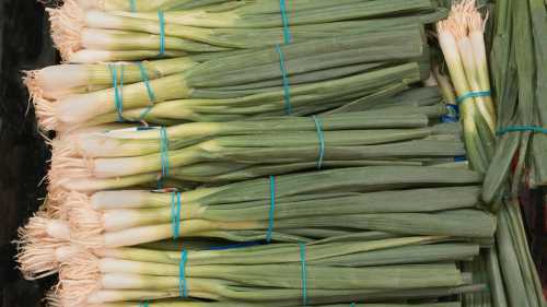 Цибулева муха облітає мої грядки десятою дорогою. І все завдяки&hellip;