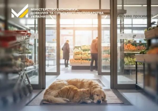 Мінекономіки розповіло як бізнесу допомагати безпритульним тваринам під час морозів&hellip;