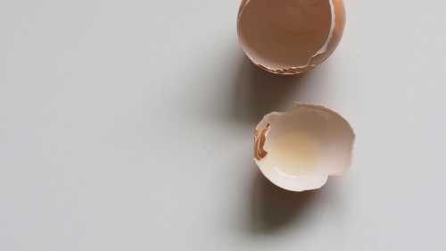 Чому яєчна шкаралупа не врятує ваш город