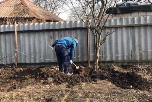 Найпоширеніші весняні помилки садівників і городників та деякі поради щодо їх виправлення