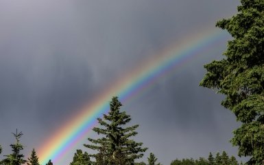 На Україну насуваються весняні дощі — де та коли