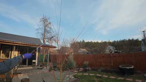 Як правильно приготувати бакову суміш та провести раннє обприскування для&hellip;