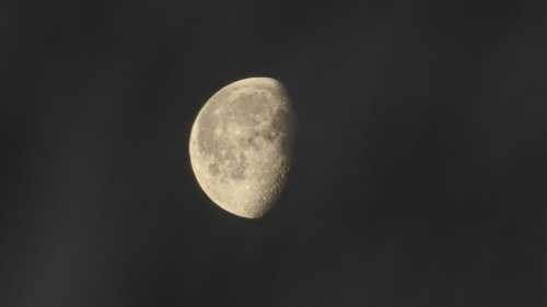 “Місячний календар для посіву”: Масштаби колективного самообману