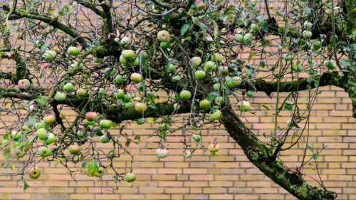 Як наука вчиться лікувати яблунево-подорожникову попелицю зсередини, а ми —&hellip;