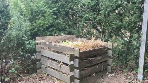 Правила “лінивого” городника: що насправді можна кидати в компост (а що — ні)