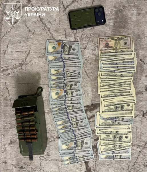 Незаконний виїзд: депутат і поліцейський заробили $700 тис. 17