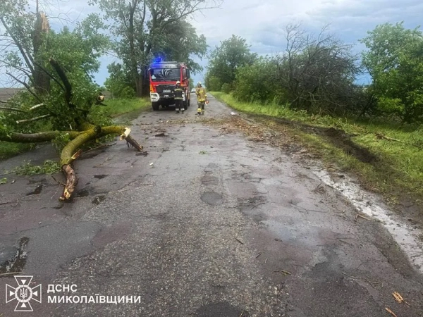 Негода в Україні: рятувальники ліквідовують наслідки стихії 14 Негода в Україні: рятувальники ліквідовують наслідки стихії 12