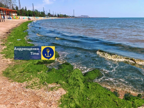 Азовське море: Травневе цвітіння та морські викиди 6 Азовське море: Травневе цвітіння та морські викиди 4