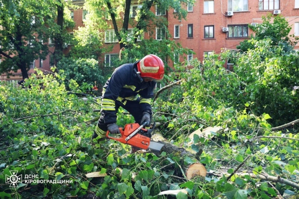 Потужна негода в Україні: негода повалила дерева, заблокувала дороги 9 Потужна негода в Україні: негода повалила дерева, заблокувала дороги 7
