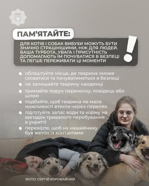 МВС: як захистити тварин від вибухів та тривог 4