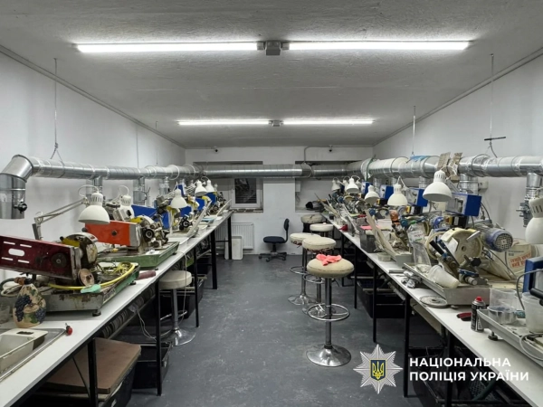 Бурштинова схема на Рівненщині: знайдено десятки кілограмів та валюту 13