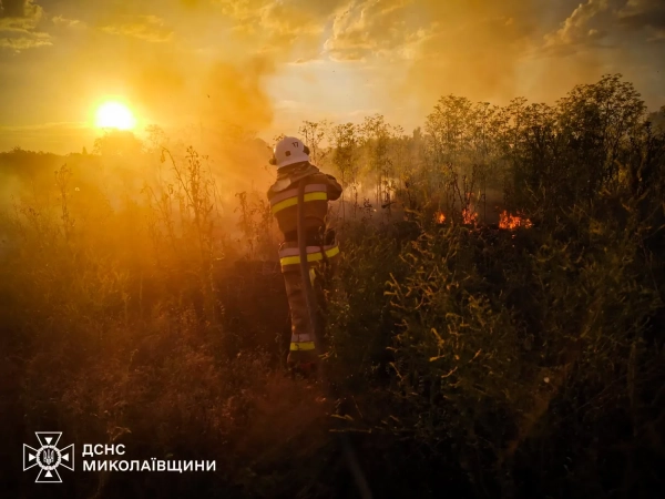 ДСНС: Вогонь небезпечний! Не паліть багаття! 4