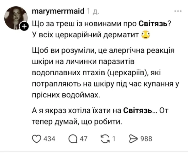 Висип на Шацьких озерах: що сталось на популярному курорті 11