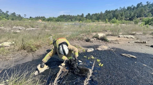 Рятувальники звільнили песика зі смоляної ями на Рівненщині