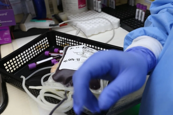 Донорам крові: МОЗ роз'яснило, як стати рятівником 12
