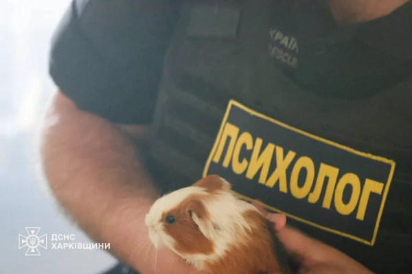 Зоопарк Харкова під ударом: загинули тварини 10 Зоопарк Харкова під ударом: загинули тварини 8