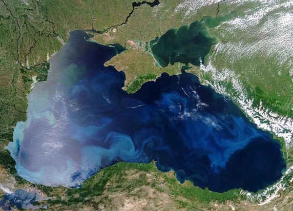 Індія шукає заміну соняшниковій олії: наслідки війни