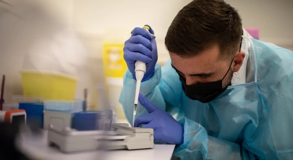 Австралія: перший H5N1 у місцевого птаха – деталі
