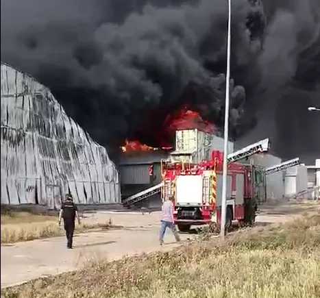 Ворог спалив “Чорнобаївську” птахофабрику: подробиці