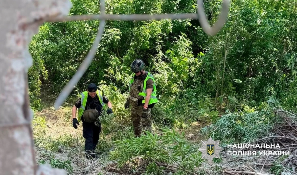 Київ: уламки ракети Х-69 із касетною боєголовкою знайшли сапери 11 Київ: уламки ракети Х-69 із касетною боєголовкою знайшли сапери 9