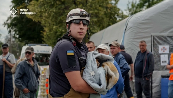 Рятувальники звільнили котика після атаки РФ у Вишневому