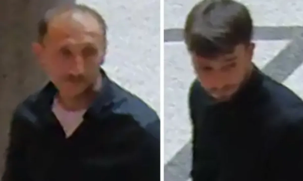 Викрадення діамантового кольє з музею Відня: збитки понад $4 млн