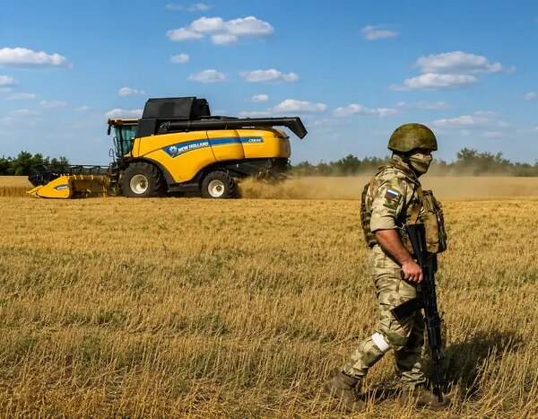 Паливна криза: Росія втрачає врожай зерна