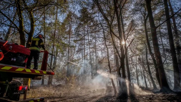 Пожежа в Німеччині: евакуювали 1800 людей біля кордону