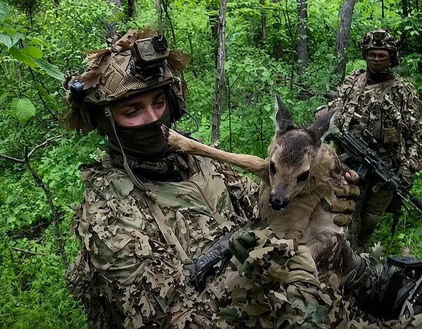 ССО: полонені росіяни та врятоване оленя