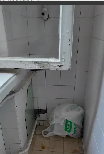 Табір у Пущі-Водиці: бруд, пліснява та порушення
