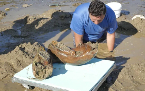 Посуха на Дунаї: з води з'явився нацистський корабель 4