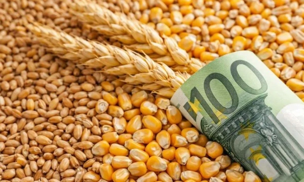 Зміни експортних цін на агропродукцію: деталі від Корецького